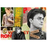 03617_Quebra-Cabeca_Harry_Potter_1000_Pecas_Grow_2