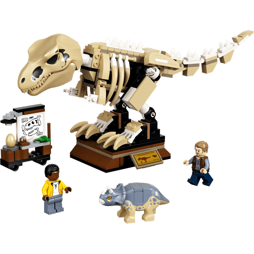 Exposicao-de-Fossil-do-Dinossauro-T.rex-2
