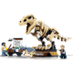 Exposicao-de-Fossil-do-Dinossauro-T.rex-4