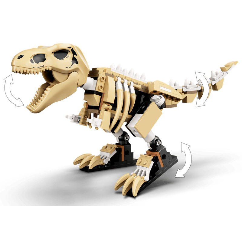 Arquivando o esqueleto do grand t-rex