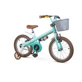 Bicicleta-Infantil-Aro-16---Mini-Antonella---Verde---Nathor-1