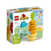 1-LEGO-Duplo---Cenoura-Crescendo---10981