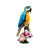 LEGO-Creator-3-em-1---Papagaio-Exotico---31136--02-