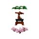 LEGO-Creator-Expert---Arvore-Bonsai---878-Pecas---10281-5