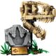 LEG76964---LEGO-Jurassic-World---Fosseis-de-Dinossauros-T-Rex---Caveira---577-Pecas---76964-2