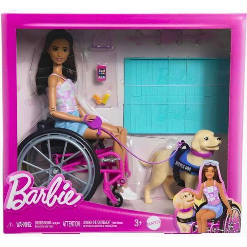 MATHJY85---Boneca-Barbie---Cadeirante-com-Cao-Guia---Mattel-1